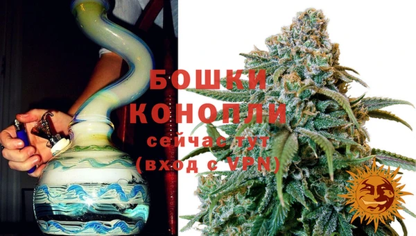 PSILOCYBIN Аркадак