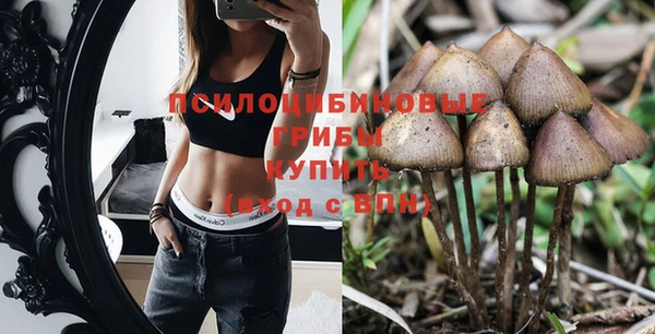 PSILOCYBIN Аркадак