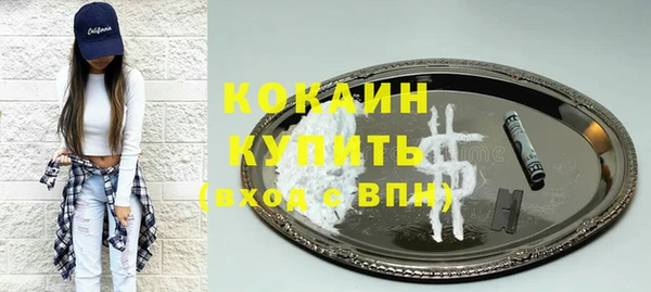 PSILOCYBIN Аркадак