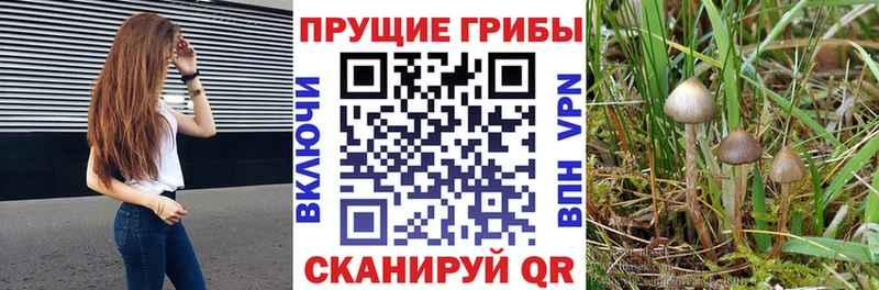 Галлюциногенные грибы мицелий  Темрюк 